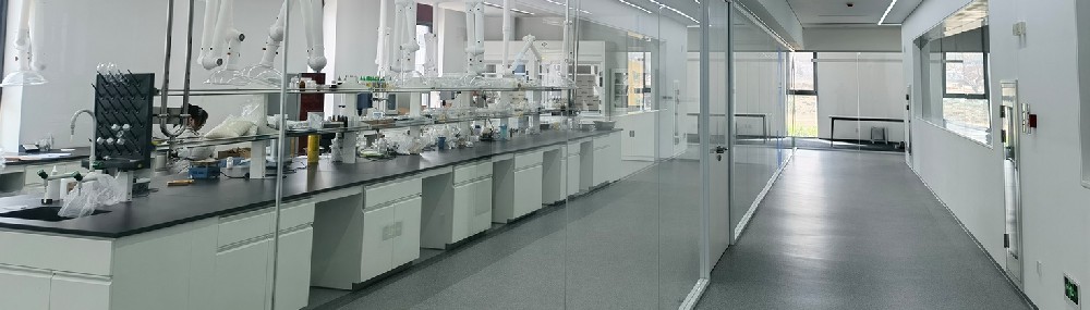 Z6尊龙集团官方网站药业：50项发明专利支撑技术研发，创新驱动企业核心竞争力